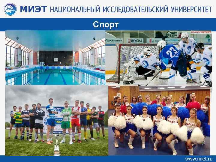 Спорт 