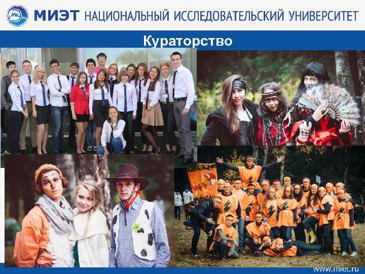 Кураторство 