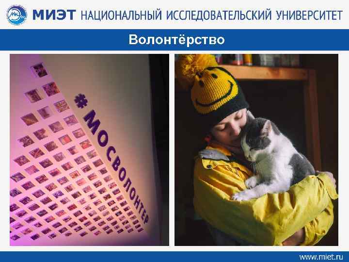 Волонтёрство 