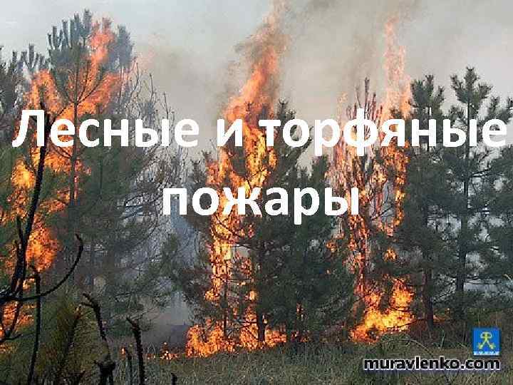 Лесные и торфяные пожары 