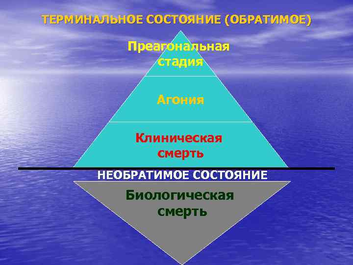 ТЕРМИНАЛЬНОЕ СОСТОЯНИЕ (ОБРАТИМОЕ) Преагональная стадия Агония Клиническая смерть НЕОБРАТИМОЕ СОСТОЯНИЕ Биологическая смерть 