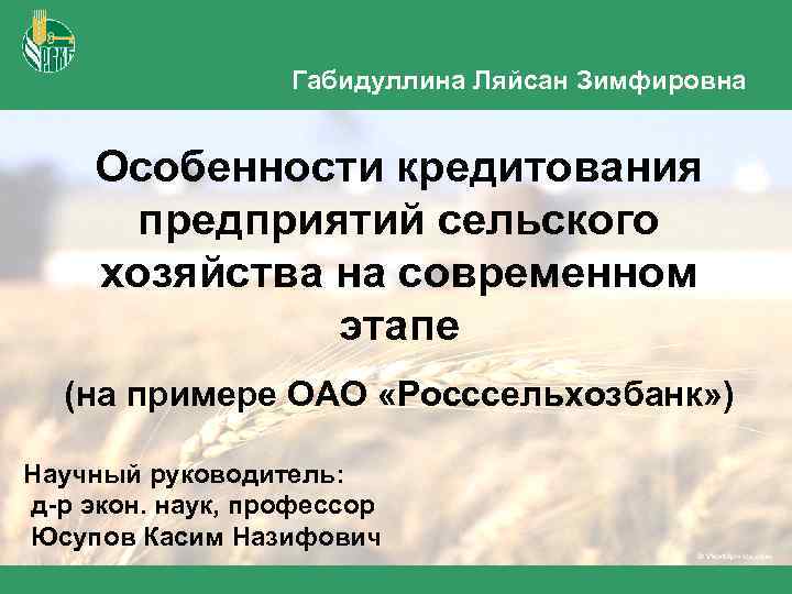 Габидуллина Ляйсан Зимфировна Особенности кредитования предприятий сельского хозяйства на современном этапе (на примере ОАО