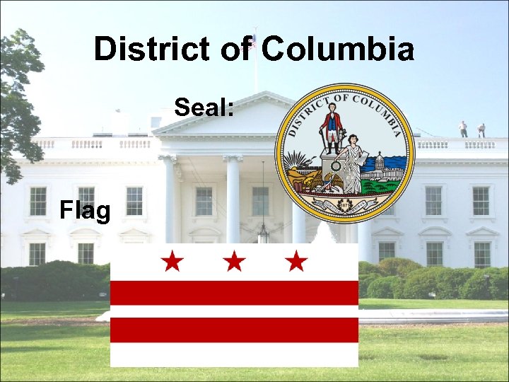 District of Columbia Seal: Flag 