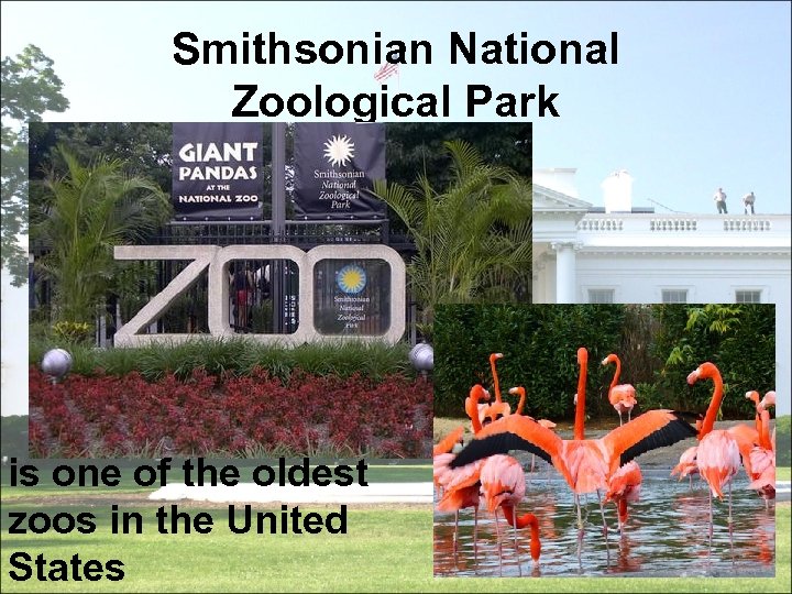 Smithsonian National Zoological Park is one of the oldest zoos in the United States