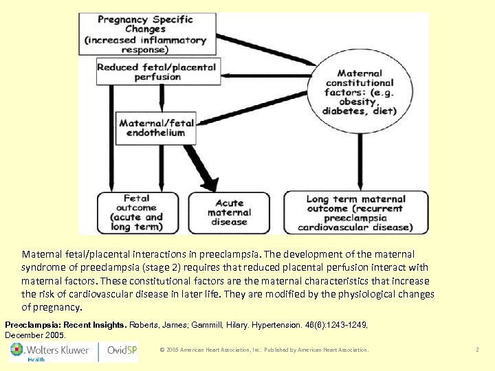 Maternal fetal/placental interactions in preeclampsia. The development of the maternal syndrome of preeclampsia (stage