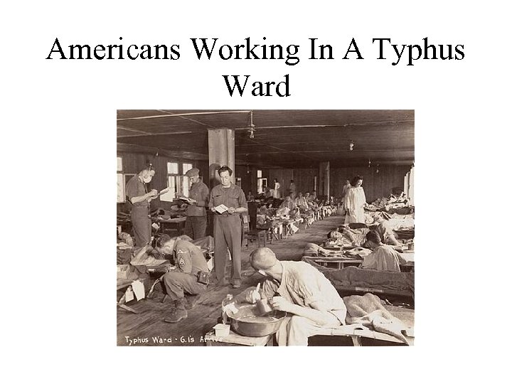 Americans Working In A Typhus Ward 