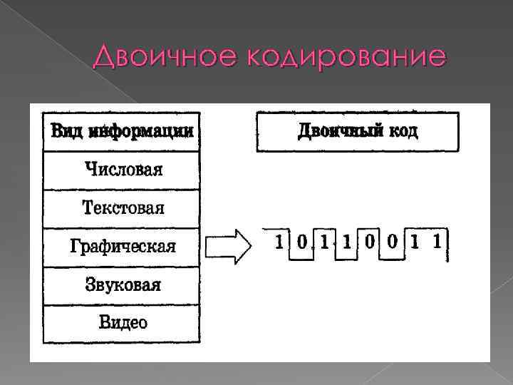Двоичное кодирование 