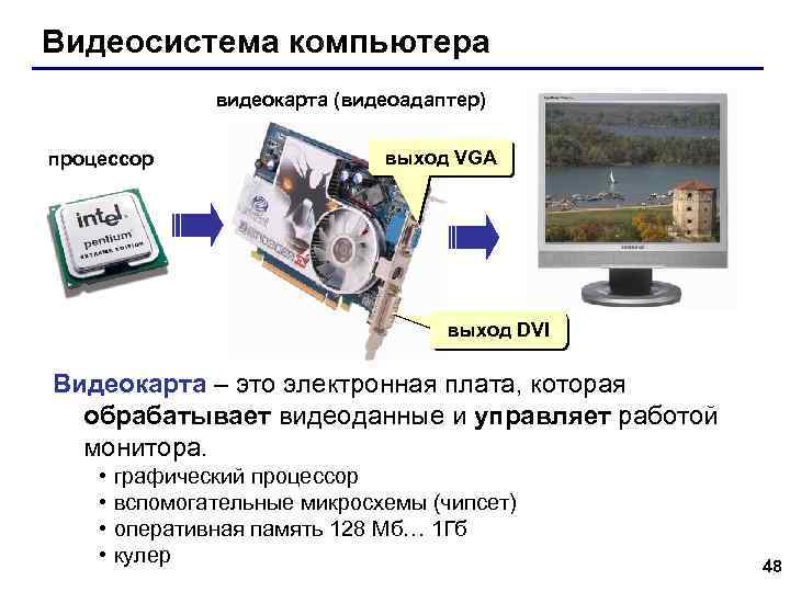 Видеосистема компьютера видеокарта (видеоадаптер) процессор выход VGA выход DVI Видеокарта – это электронная плата,