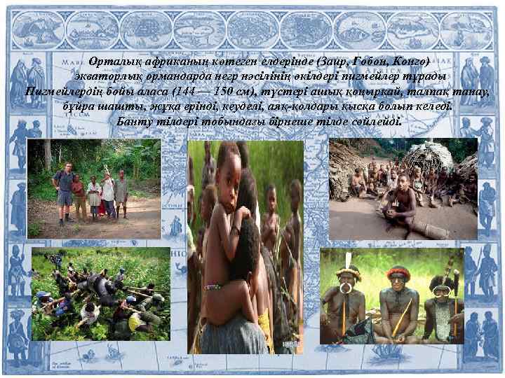 Орталық африканың көтеген елдерінде (Заир, Гобон, Конго) экваторлық ормандарда негр нәсілінің өкілдері пигмейлер тұрады