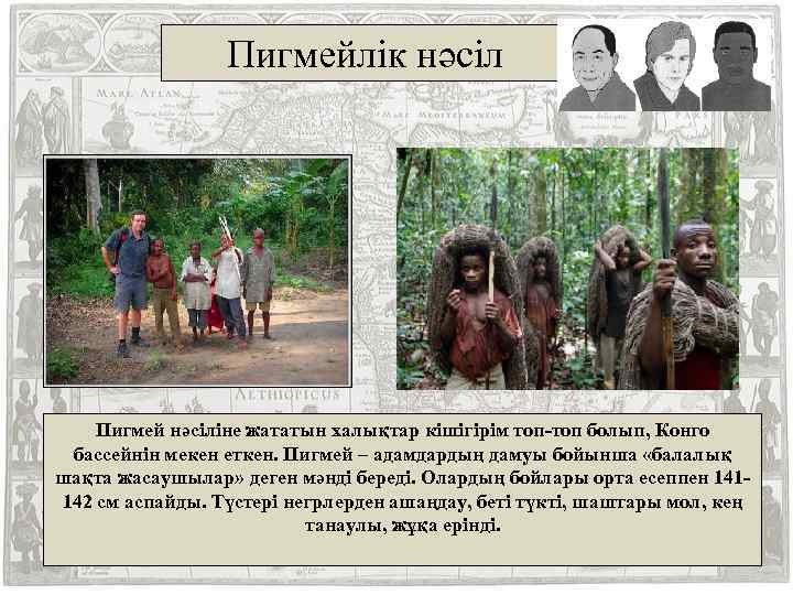 Пигмейлік нәсіл Пигмей нәсіліне жататын халықтар кішігірім топ-топ болып, Конго бассейнін мекен еткен. Пигмей
