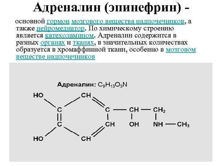 Адреналин презентация по биохимии