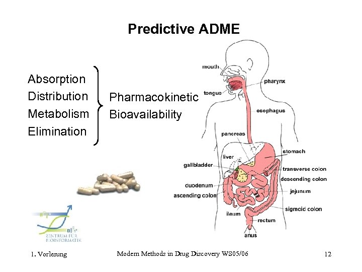 Predictive ADME Absorption Distribution Metabolism Elimination 1. Vorlesung Pharmacokinetic Bioavailability Modern Methods in Drug