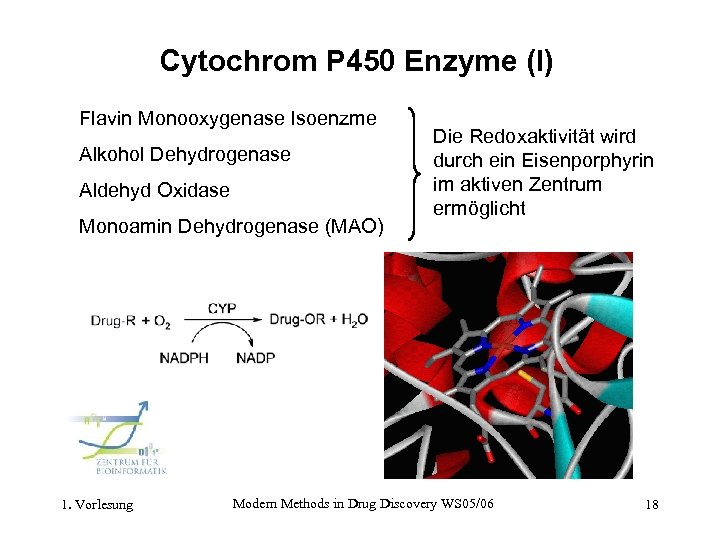 Cytochrom P 450 Enzyme (I) Flavin Monooxygenase Isoenzme Alkohol Dehydrogenase Aldehyd Oxidase Monoamin Dehydrogenase