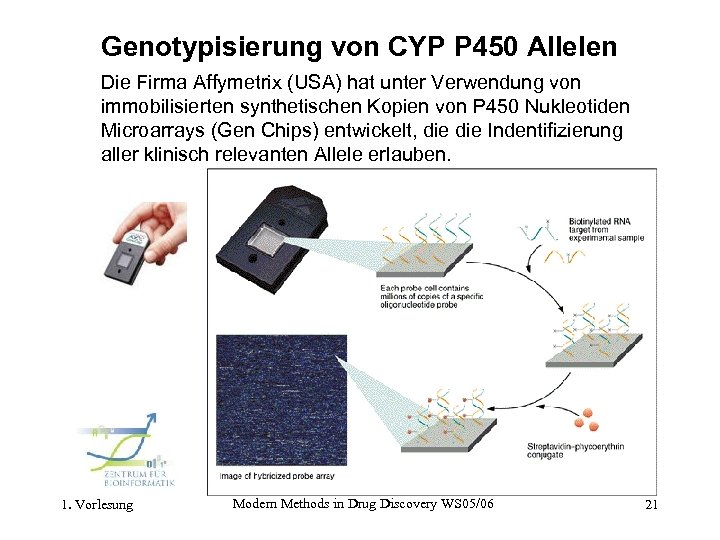 Genotypisierung von CYP P 450 Allelen Die Firma Affymetrix (USA) hat unter Verwendung von