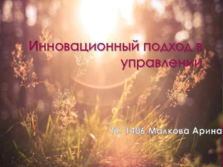 Инновационный подход в управлении ТС 1406 Малкова Арина 
