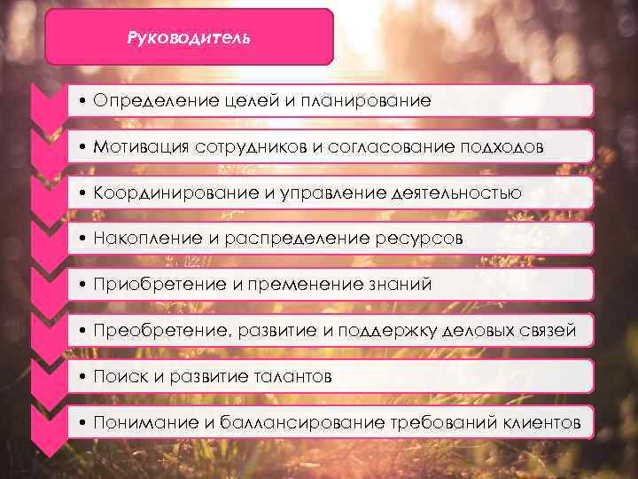 Руководитель • Определение целей и планирование • Мотивация сотрудников и согласование подходов • Координирование