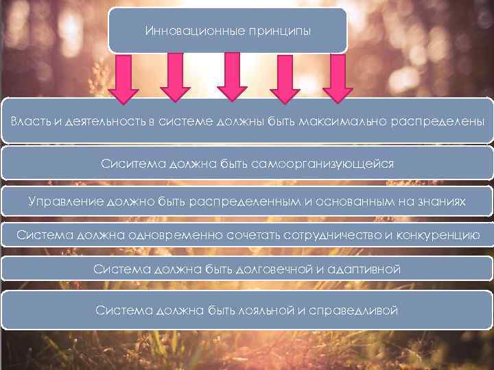 Инновационные принципы Власть и деятельность в системе должны быть максимально распределены Сиситема должна быть
