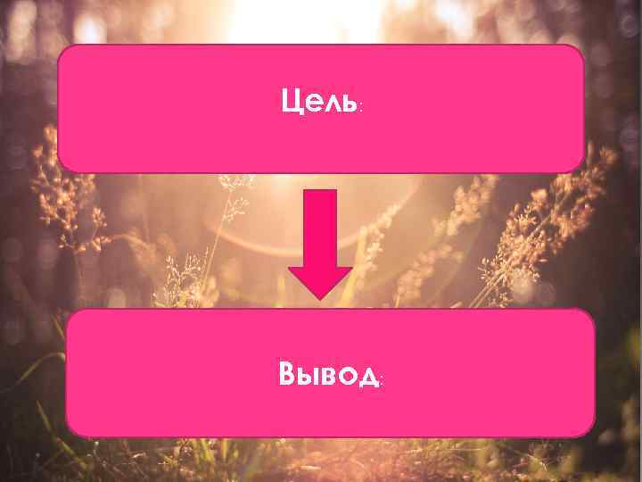 Цель: Вывод: 