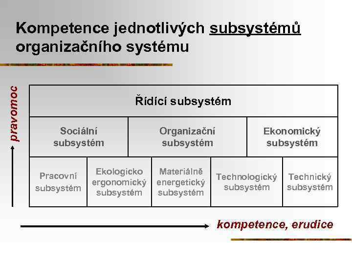 pravomoc Kompetence jednotlivých subsystémů organizačního systému Řídící subsystém Sociální subsystém Pracovní subsystém Ekologicko ergonomický