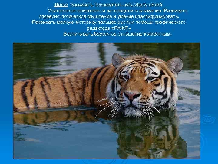 Цели: развивать познавательную сферу детей. Учить концентрировать и распределять внимание. Развивать словесно-логическое мышление и