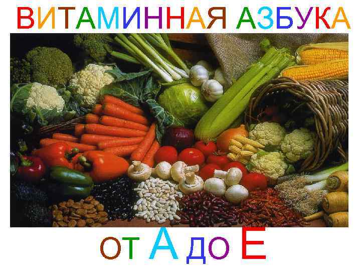 ВИТАМИННАЯ АЗБУКА ОТ А ДО Е 