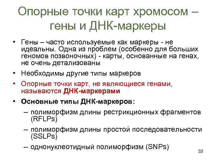 Опорные точки карт хромосом – гены и ДНК-маркеры • Гены – часто используемые как