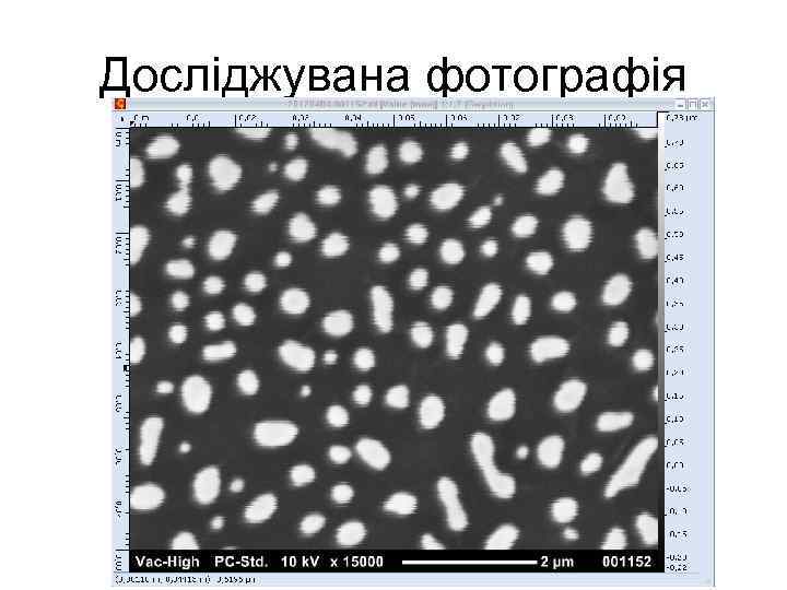 Досліджувана фотографія 