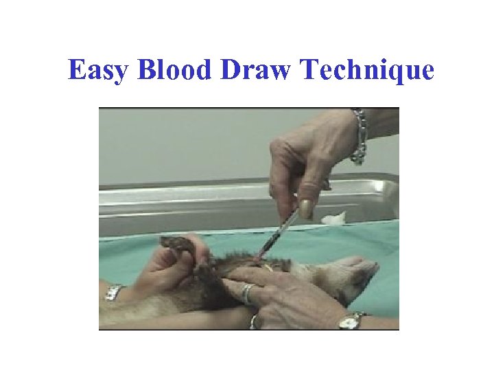 Easy Blood Draw Technique 