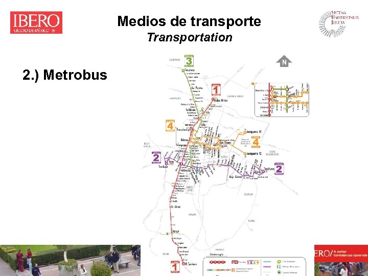 Medios de transporte Transportation 2. ) Metrobus 