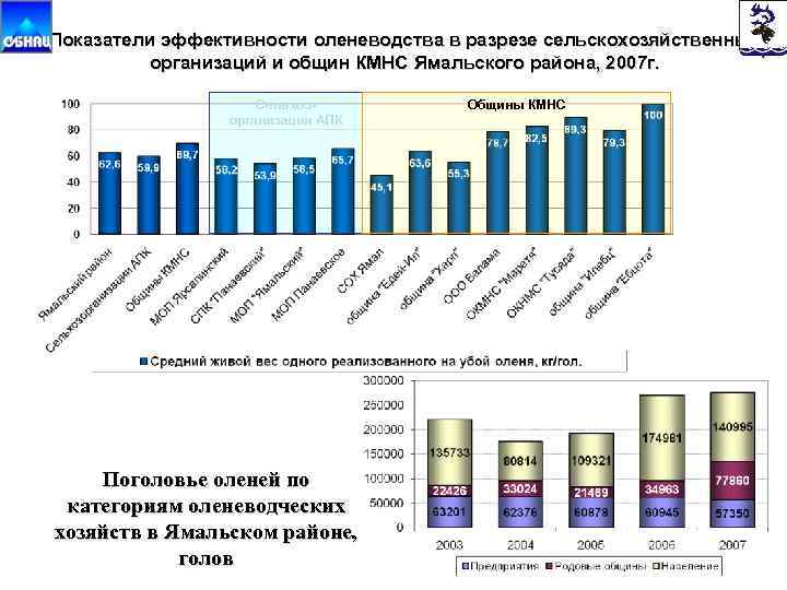 Дорожная карта кмнс янао