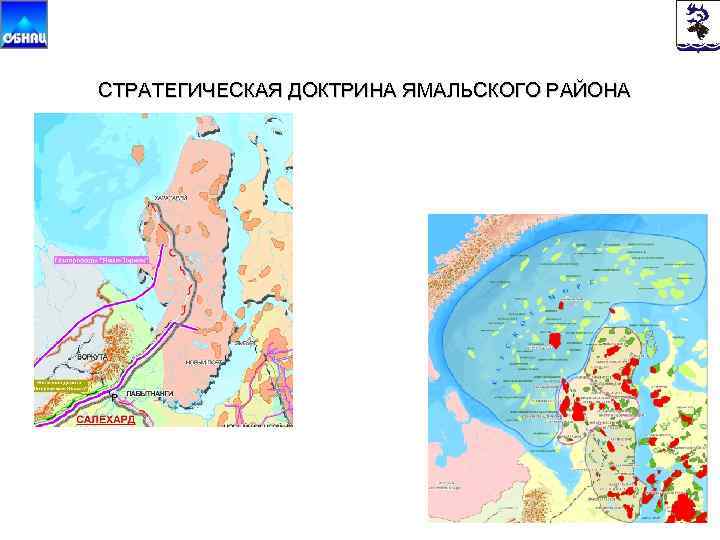  СТРАТЕГИЧЕСКАЯ ДОКТРИНА ЯМАЛЬСКОГО РАЙОНА 