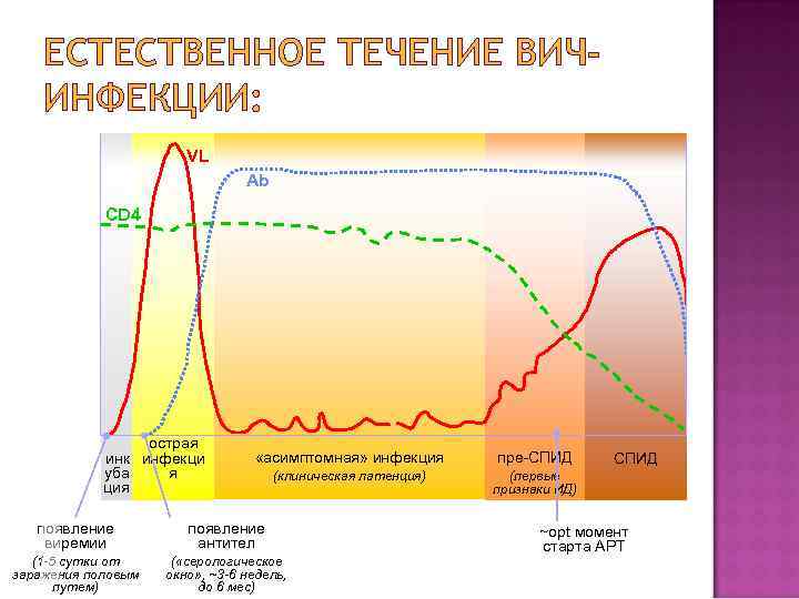 ЕСТЕСТВЕННОЕ ТЕЧЕНИЕ ВИЧИНФЕКЦИИ: VL Ab CD 4 острая инк инфекци я уба ция «асимптомная»