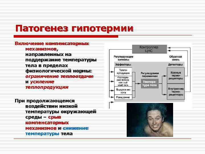 Гипотермия патофизиология презентация