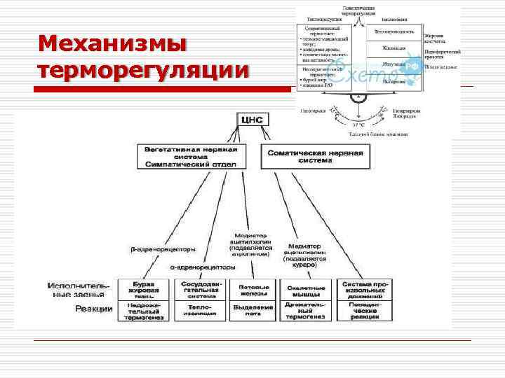 Де грамон химиотерапия схема