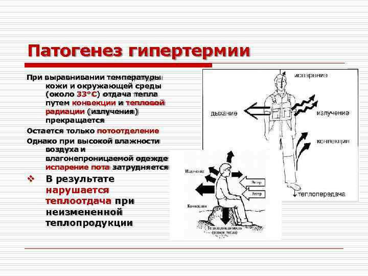 Патогенез гипертермии При выравнивании температуры кожи и окружающей среды (около 33°С) отдача тепла путем