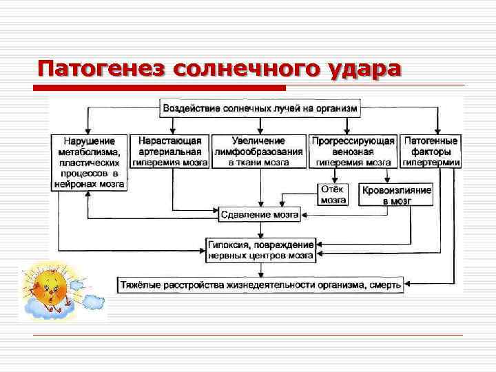 Патогенез солнечного удара 