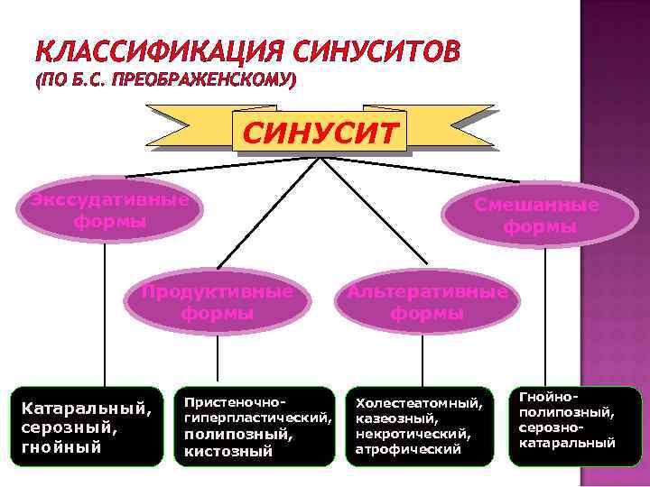 КЛАССИФИКАЦИЯ СИНУСИТОВ (ПО Б. С. ПРЕОБРАЖЕНСКОМУ) СИНУСИТ Экссудативные формы Продуктивные формы Катаральный, С серозный,