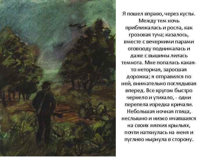 Я пошел вправо, через кусты. Между тем ночь приближалась и росла, как грозовая туча;