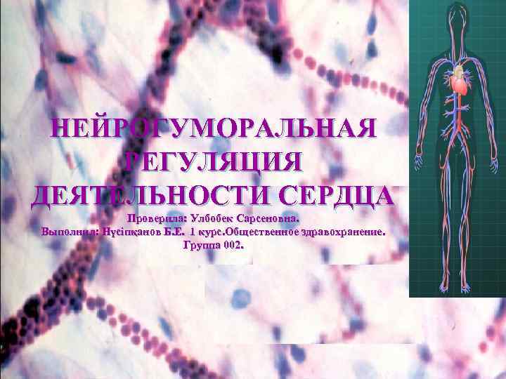 НЕЙРОГУМОРАЛЬНАЯ РЕГУЛЯЦИЯ ДЕЯТЕЛЬНОСТИ СЕРДЦА Проверила: Улбобек Сарсеновна. Выполнил: Нүсіпқанов Б. Е. 1 курс. Общественное