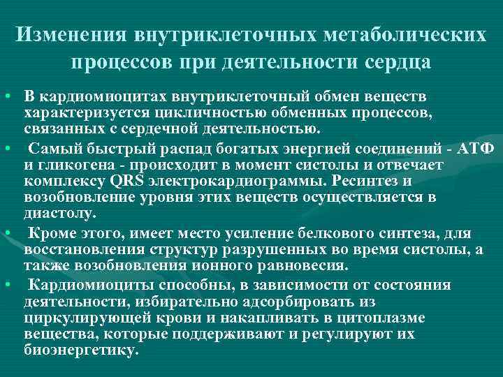 Изменения внутриклеточных метаболических процессов при деятельности сердца • В кардиомиоцитах внутриклеточный обмен веществ характеризуется