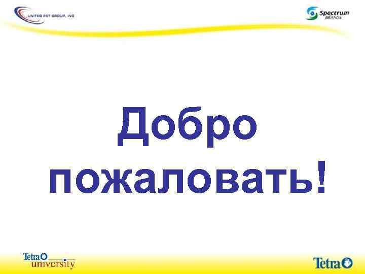 Добро пожаловать! 