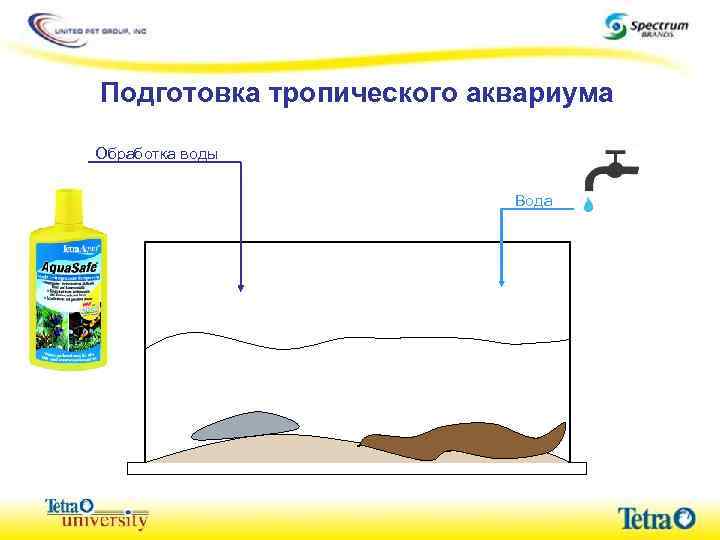 Подготовка тропического аквариума Обработка воды Вода 