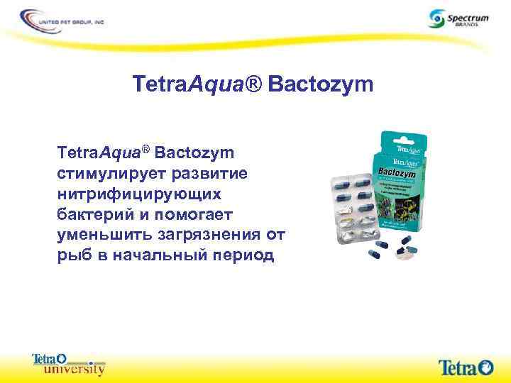 Tetra. Aqua® Bactozym стимулирует развитие нитрифицирующих бактерий и помогает уменьшить загрязнения от рыб в
