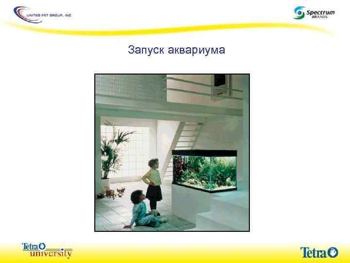 Запуск аквариума 
