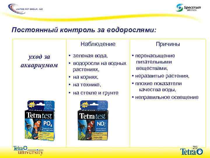 Постоянный контроль за водорослями: Наблюдение уход за аквариумом • зеленая вода, • водоросли