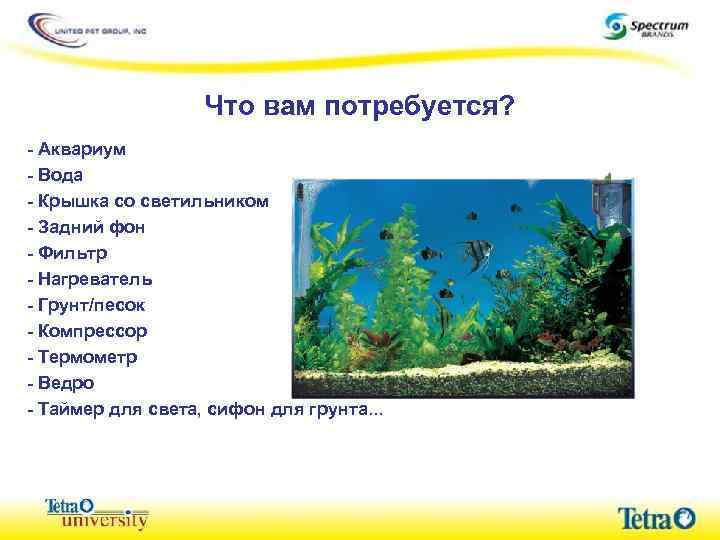 Что вам потребуется? - Аквариум - Вода - Крышка со светильником - Задний фон