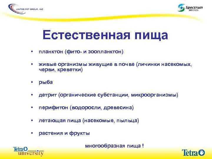 Естественная пища • планктон (фито- и зоопланктон) • живые организмы живущие в почве (личинки