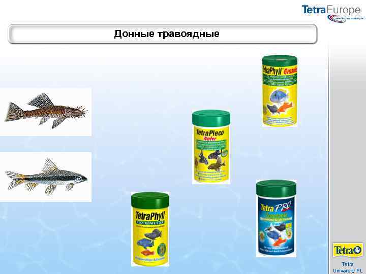 Донные травоядные Tetra University PL 