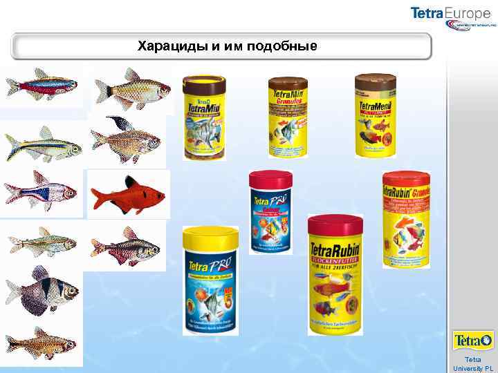 Харациды и им подобные Tetra University PL 