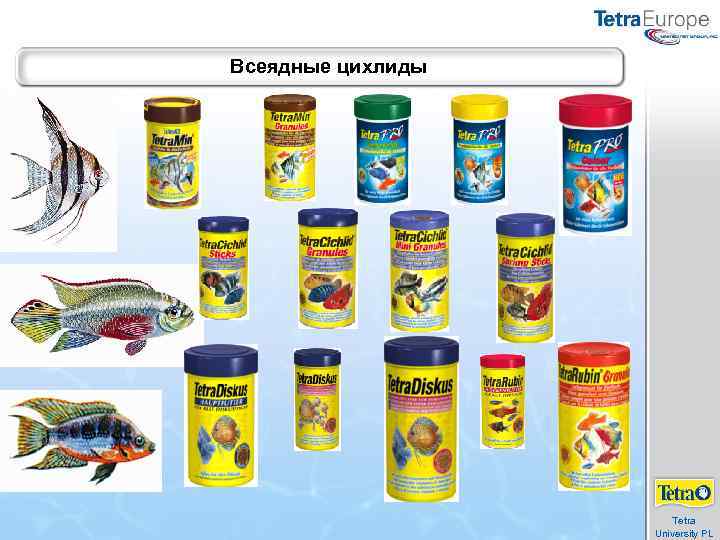 Всеядные цихлиды Tetra University PL 